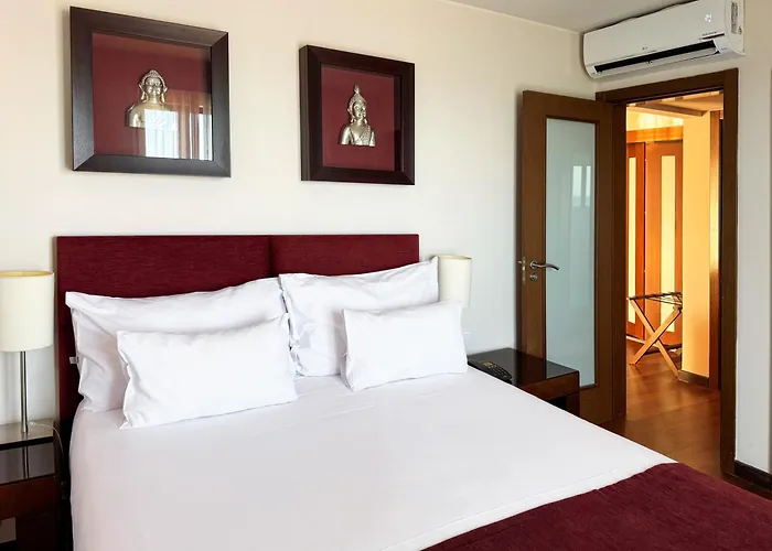 Gale T1 542 * 카스카이스